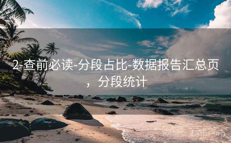 2-查前必读-分段占比-数据报告汇总页，分段统计