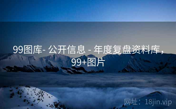 99图库- 公开信息 - 年度复盘资料库，99+图片